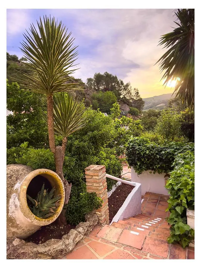 Molino Del Santo Hotel Benaojan