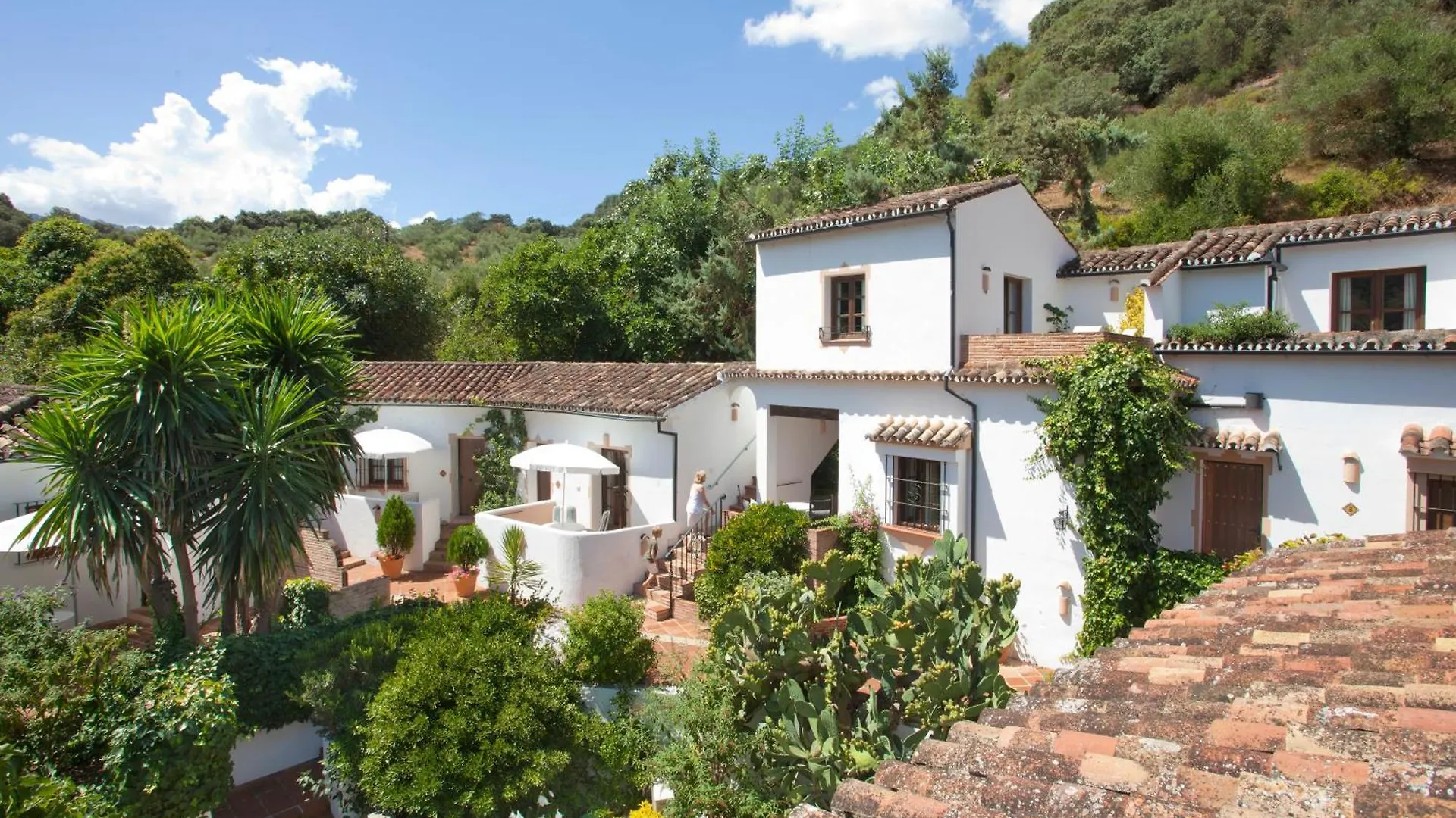 Molino Del Santo Hotel Benaojan