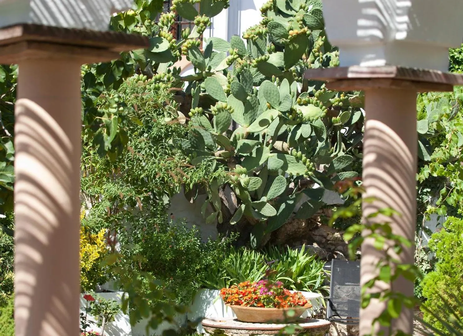 Hotel Molino Del Santo à Benaoján