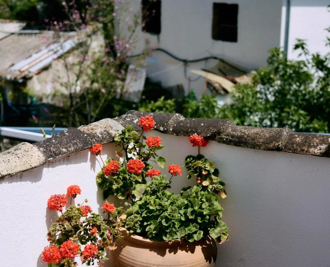 Hotel Molino Del Santo Benaoján